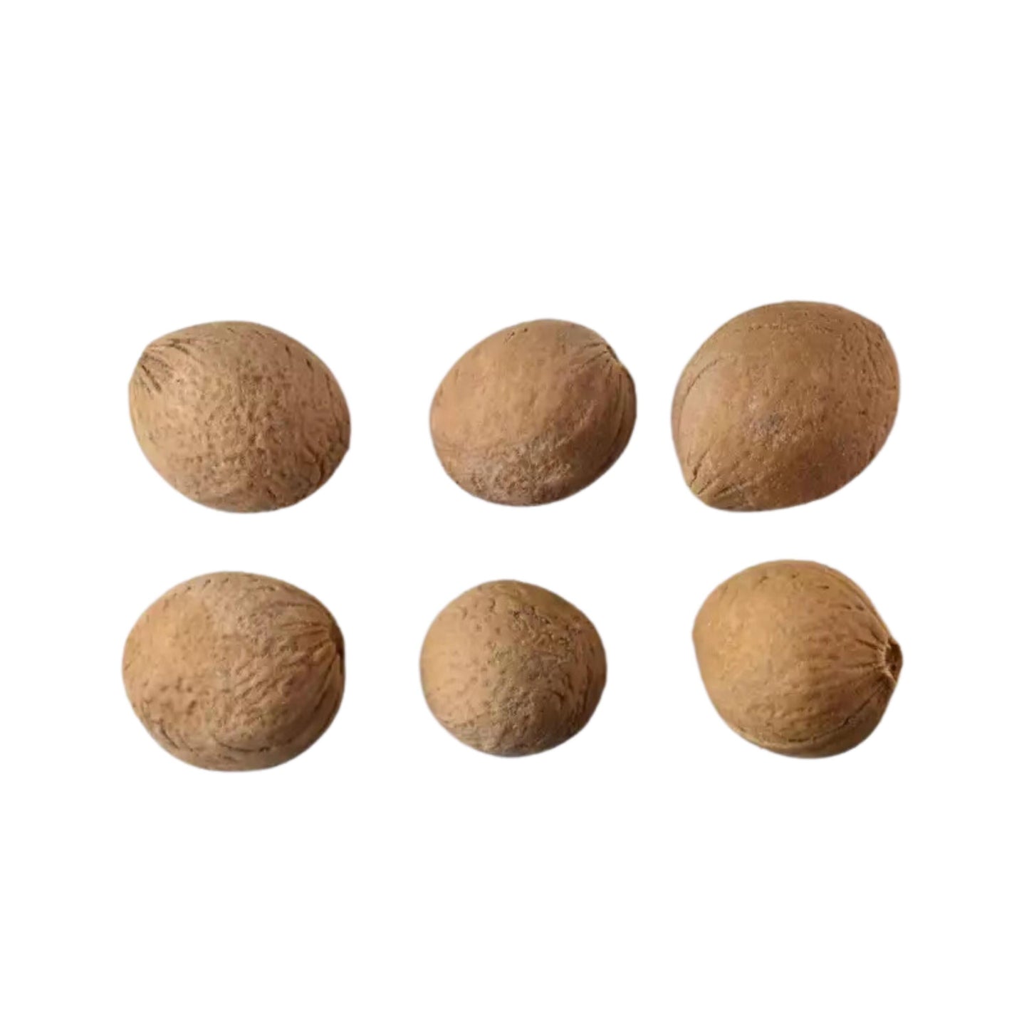 Flowering Almond Tree Seeds-(Prunus triloba)
