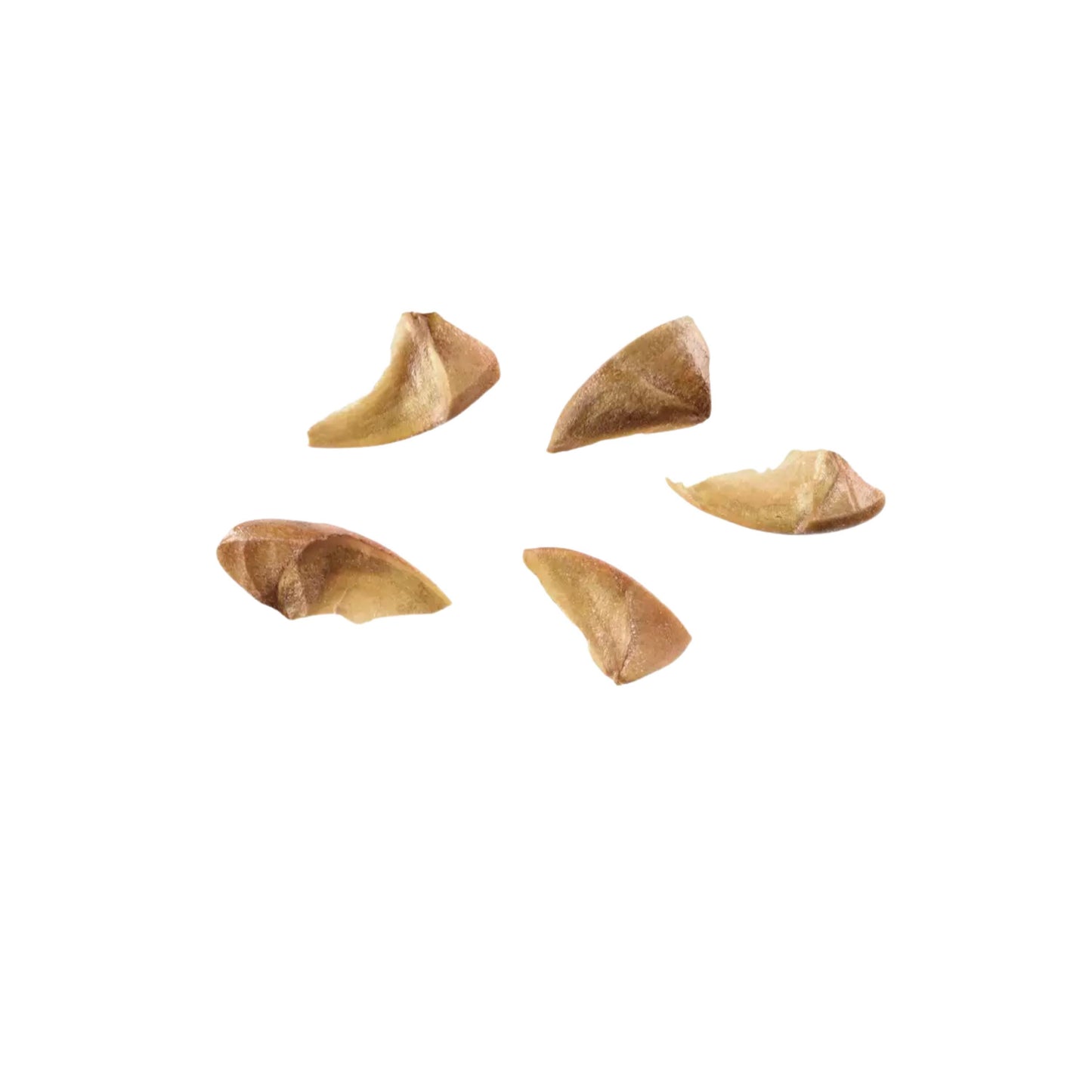 Pink Crape Myrtle Seeds (Lagerstroemia indica)