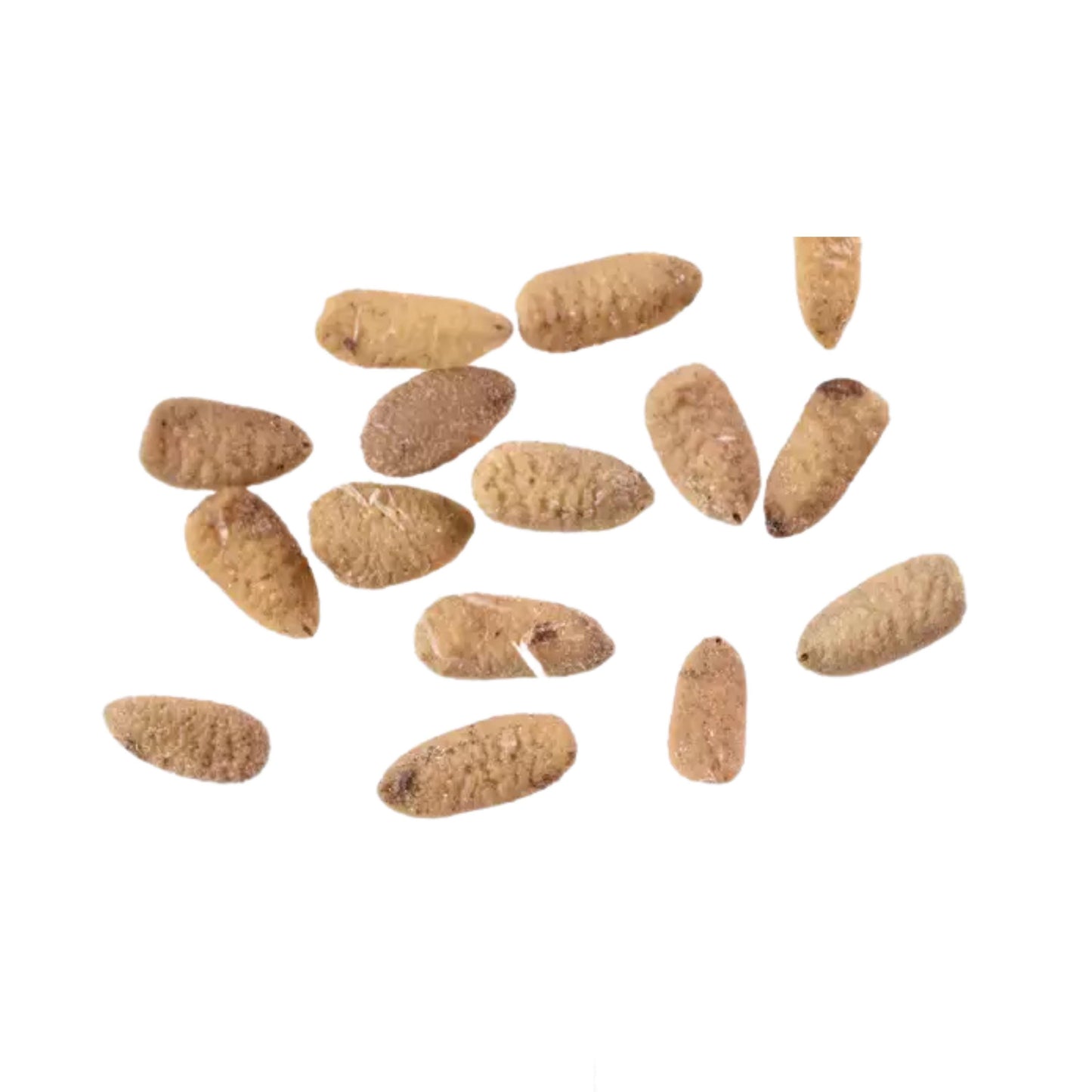 Scattered Black Elderberry Tree Seeds on a white background
