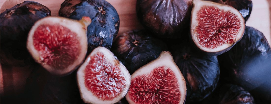 How to Grow Common Fig Trees from Seed (Germination Guide)