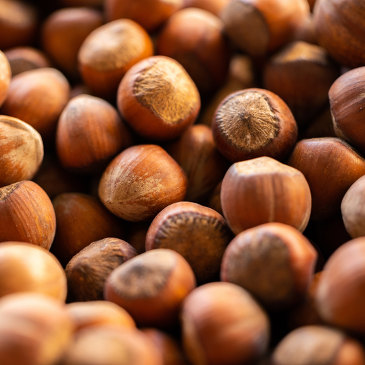 How to Grow American Hazelnut Trees from Seed (Germination Guide)