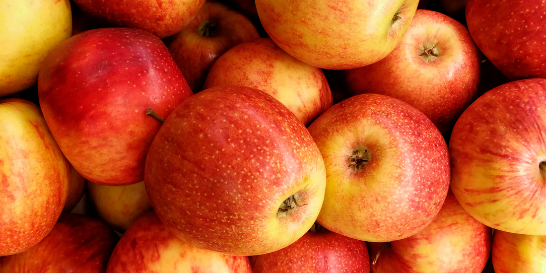 How to Grow Honeycrisp Apple Trees from Seed (Germination Guide)
