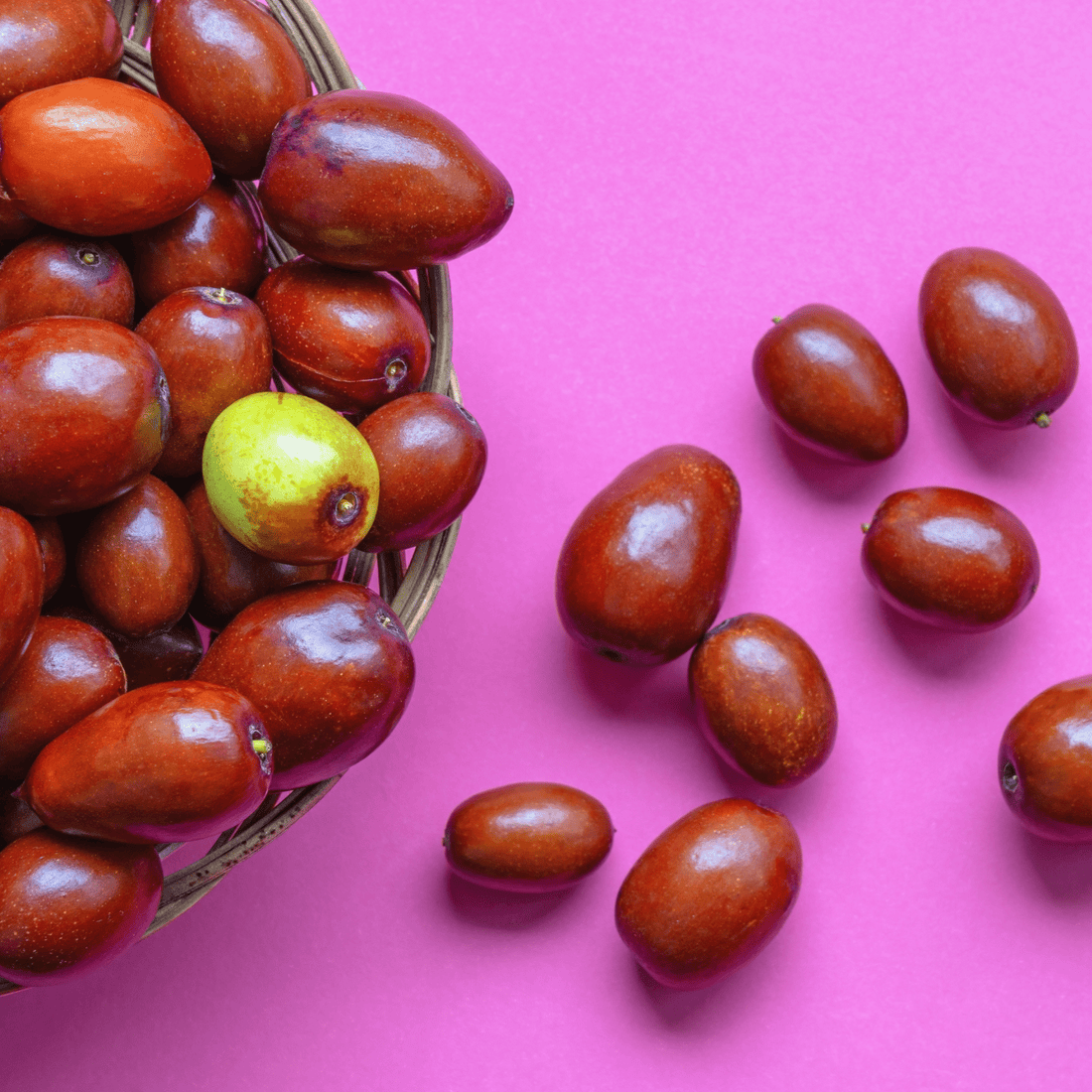 How to Grow Jujube Trees from Seed (Germination Guide)