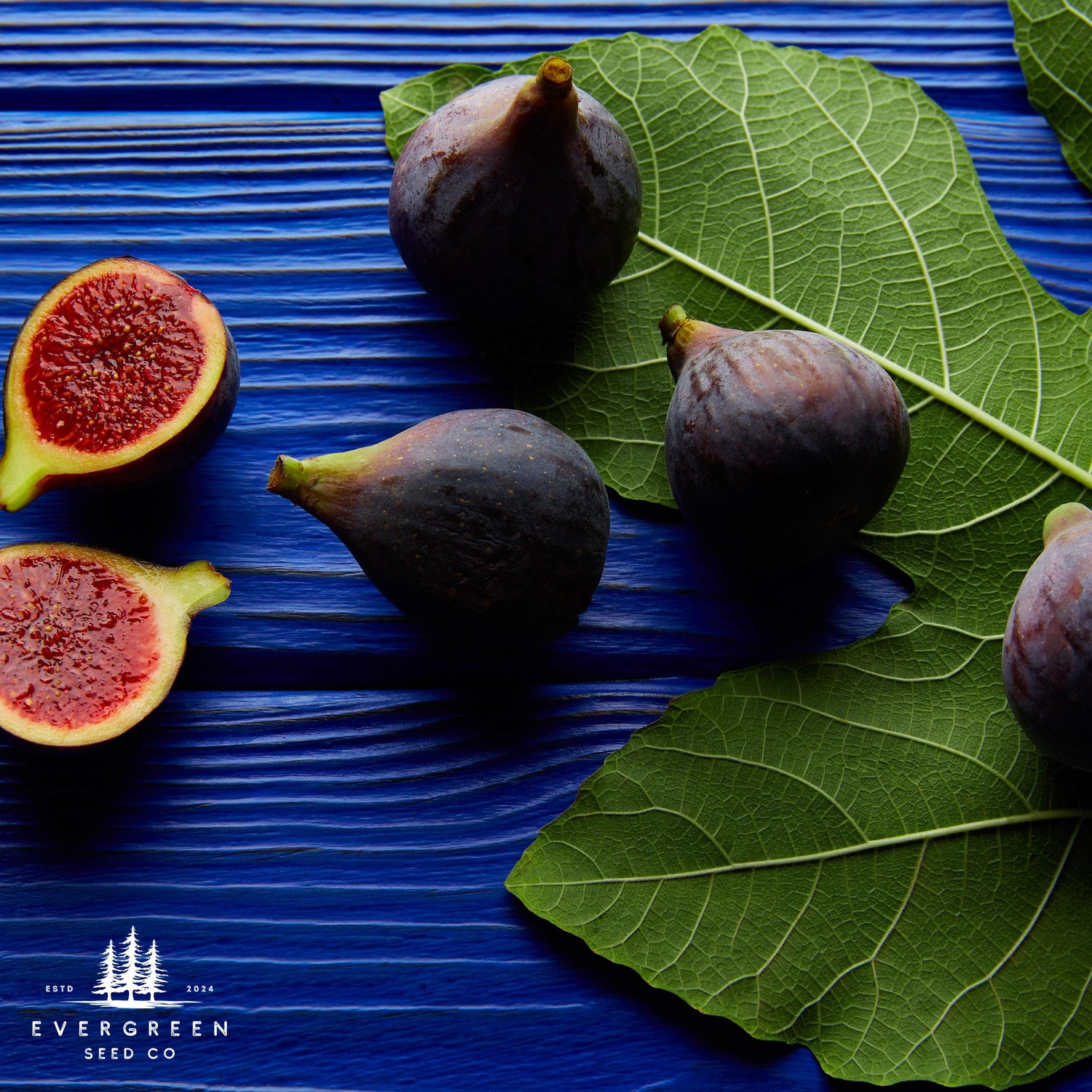 Fresh figs cut open beside green fig leaves
