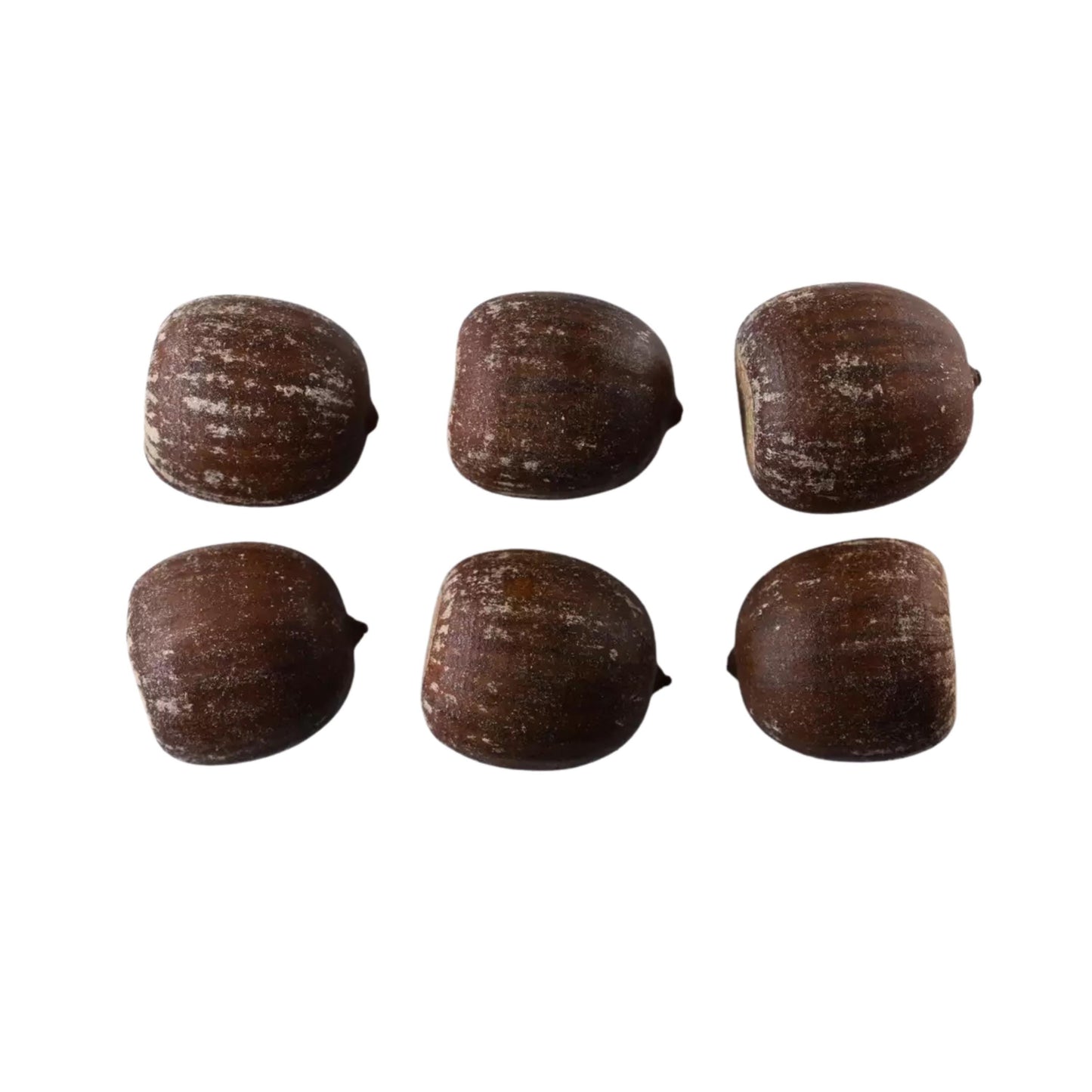Northern Red Oak Tree Seeds (Quercus rubra)