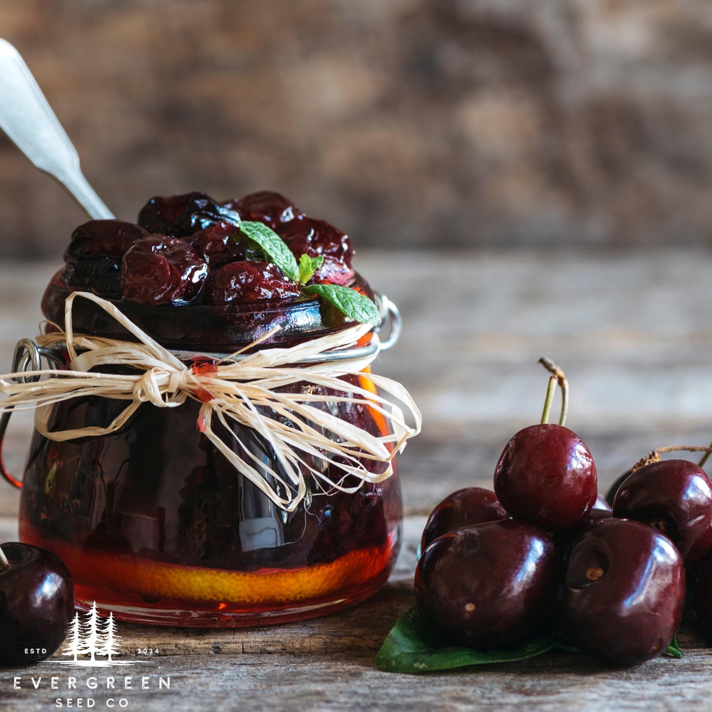 Black Cherry Tree Seeds – (Prunus serotina)