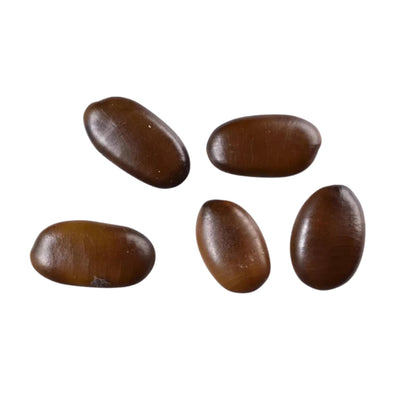 Thornless Honey Locust Tree Seeds-(Gleditsia triacanthos var. inermis)