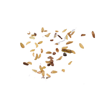 Mountain Laurel Seeds-(Kalmia Latifolia)