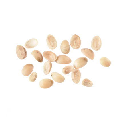 American Beautyberry Seeds (Callicarpa americana)