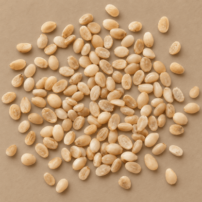American Beautyberry Seeds | Beautyberry | (Callicarpa americana)