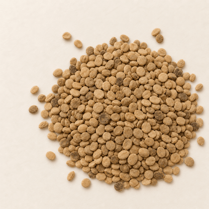 American Ginseng Seeds | (Panax quinquefolius)