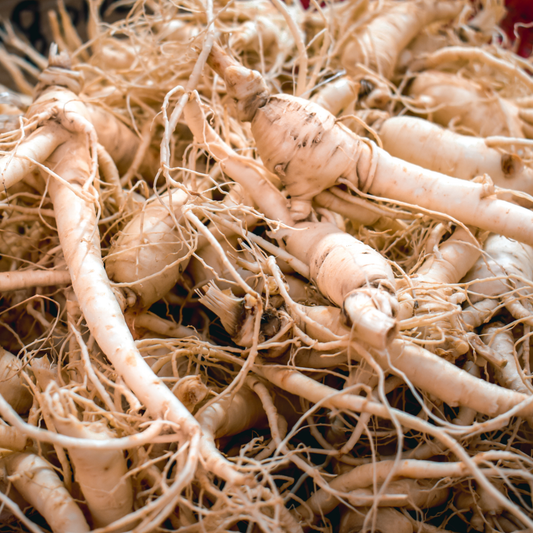 American Ginseng Seeds | (Panax quinquefolius)