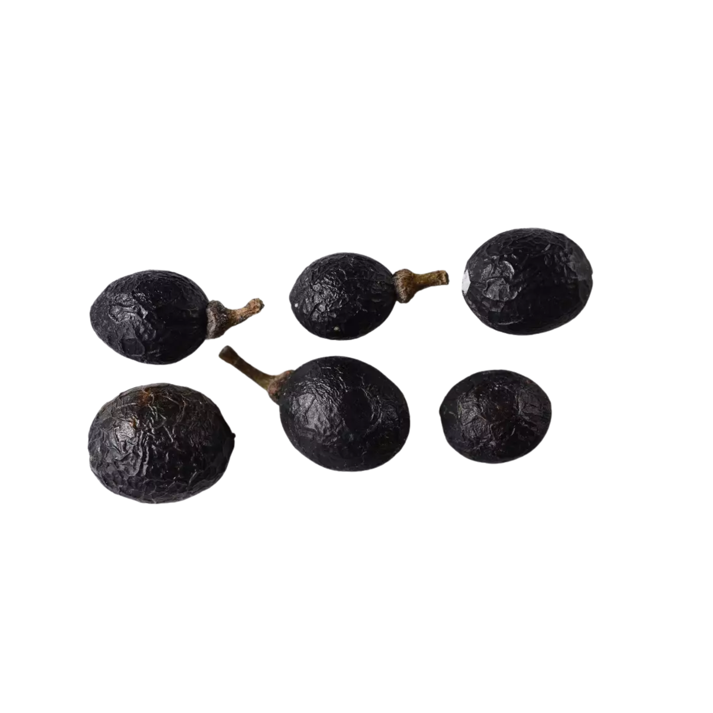 Bay Laurel Tree Seeds | Sweet Bay | (Laurus nobilis)