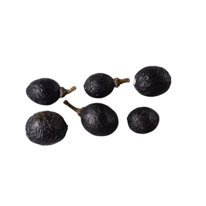 Bay Laurel Tree Seeds | Sweet Bay | (Laurus nobilis)