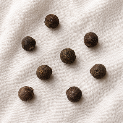 Texas Star Hibiscus Tree Seeds | Scarlet Rosemallow | (Hibiscus coccineus)