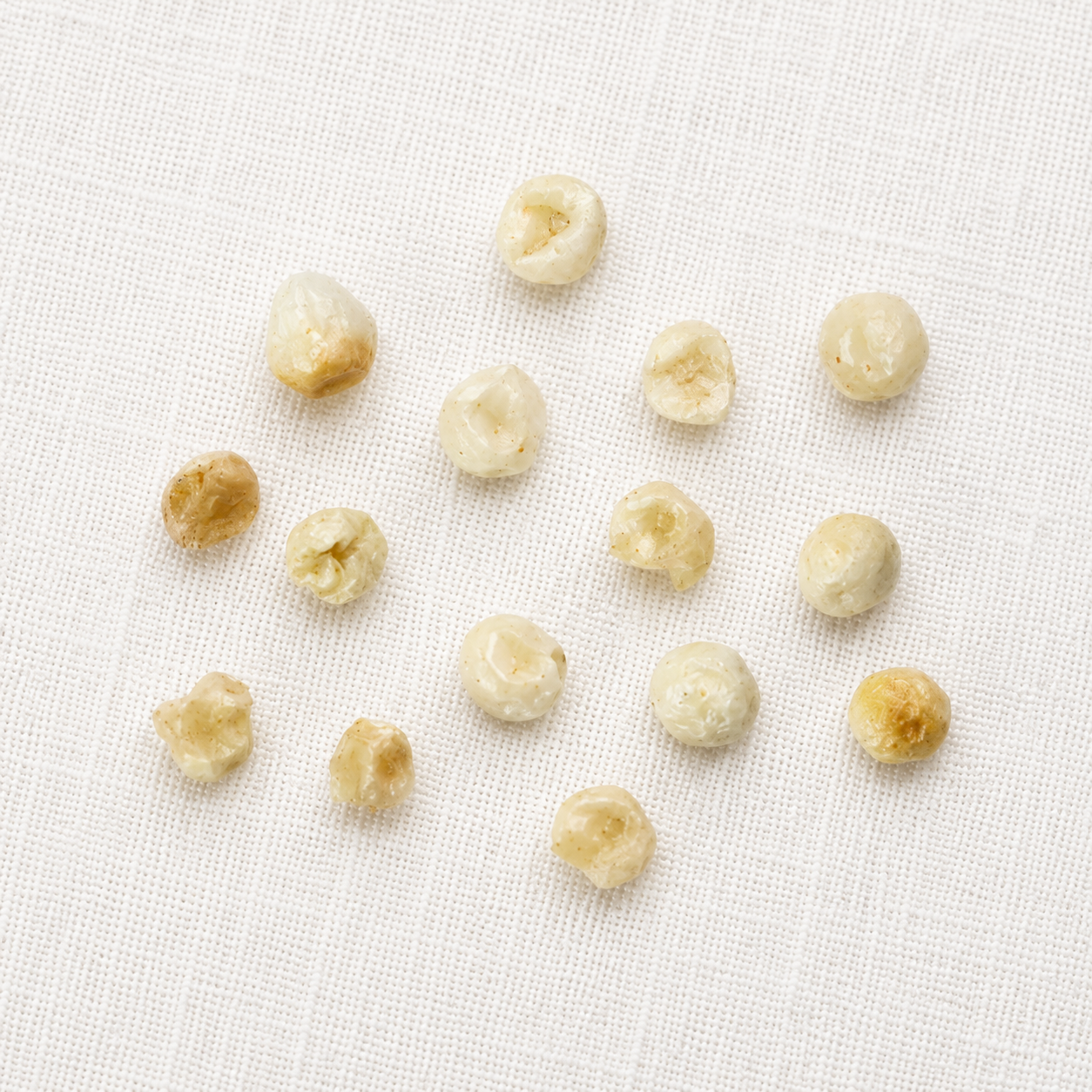 White Beautyberry Seeds | (Callicarpa japonica ‘Leucocarpa’)