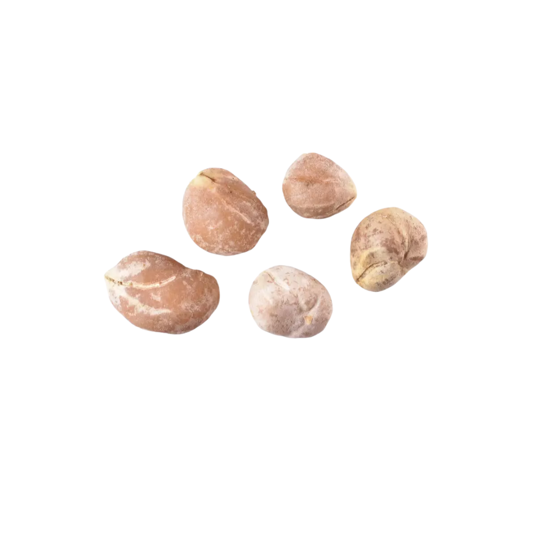 Kousa Dogwood Tree Seeds (Cornus Kousa)