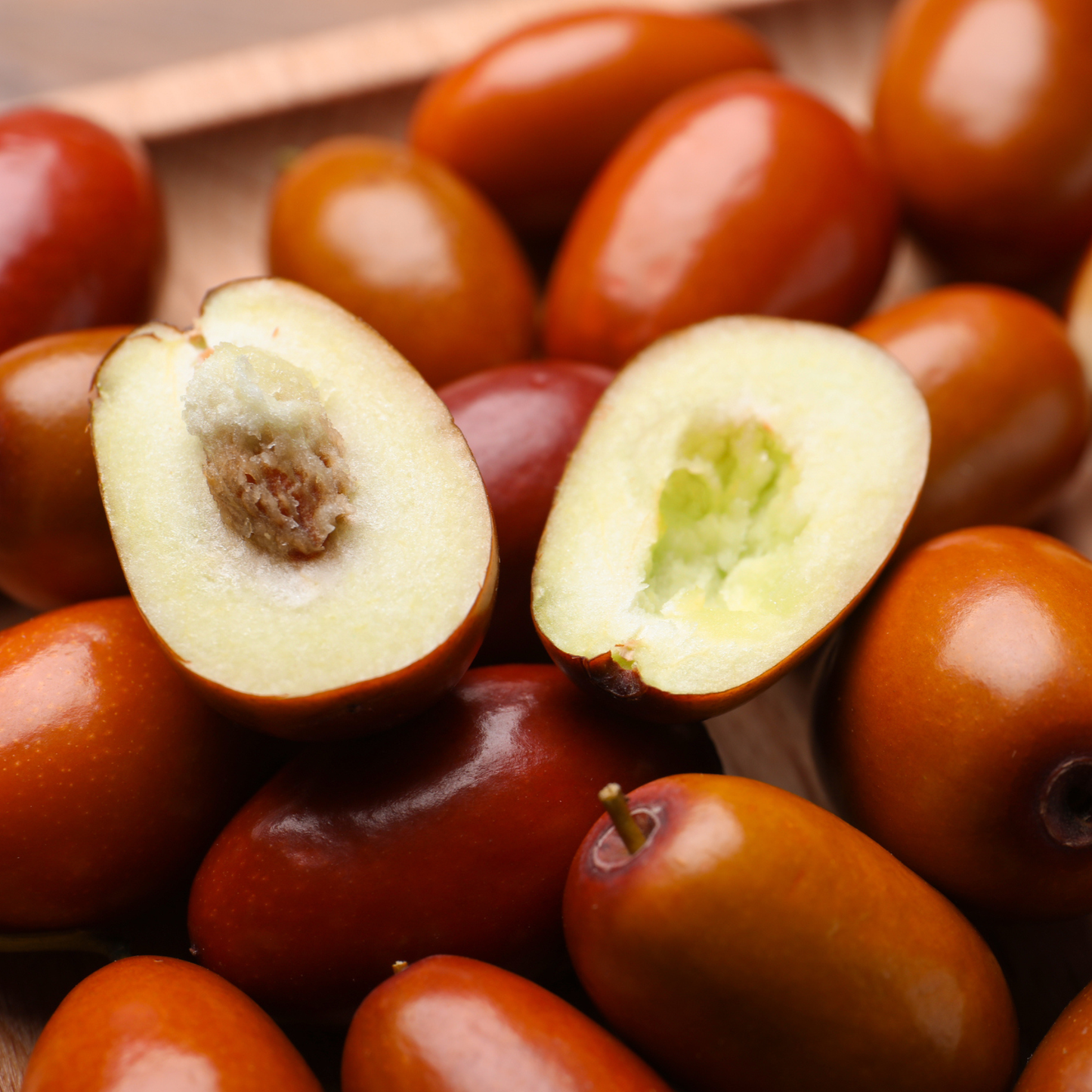 Jujube Tree Seeds | Chinese Date | (Ziziphus jujuba)
