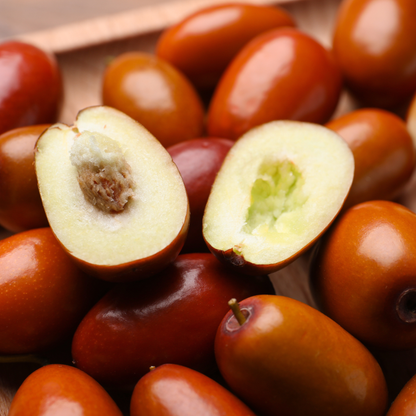 Jujube Tree Seeds | Chinese Date | (Ziziphus jujuba)