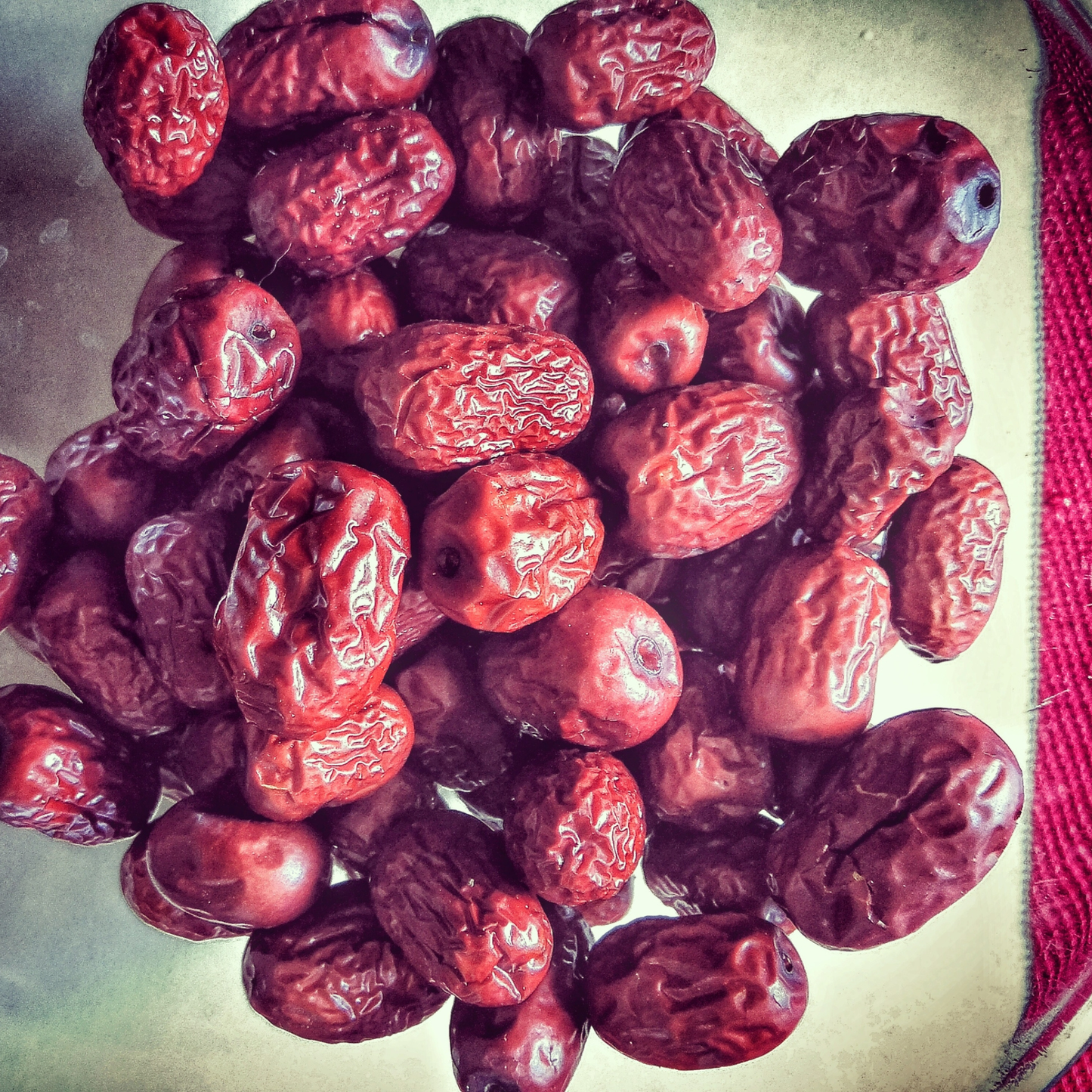 Jujube Tree Seeds | Chinese Date | (Ziziphus jujuba)