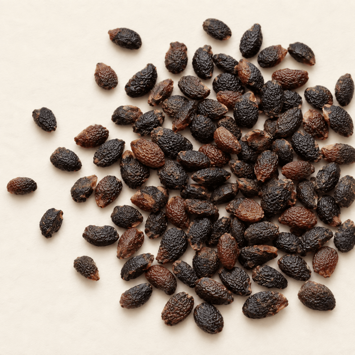 Maypop Seeds | Purple Passionflower | (Passiflora incarnata)