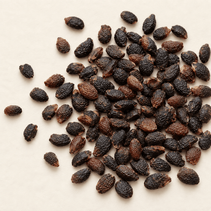 Maypop Seeds | Purple Passionflower | (Passiflora incarnata)