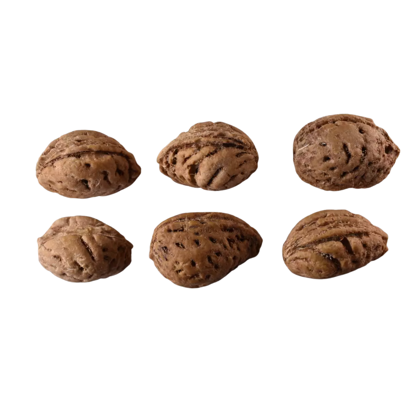 Nemaguard Peach Tree Seeds | (Prunus persica var. Nemaguard)