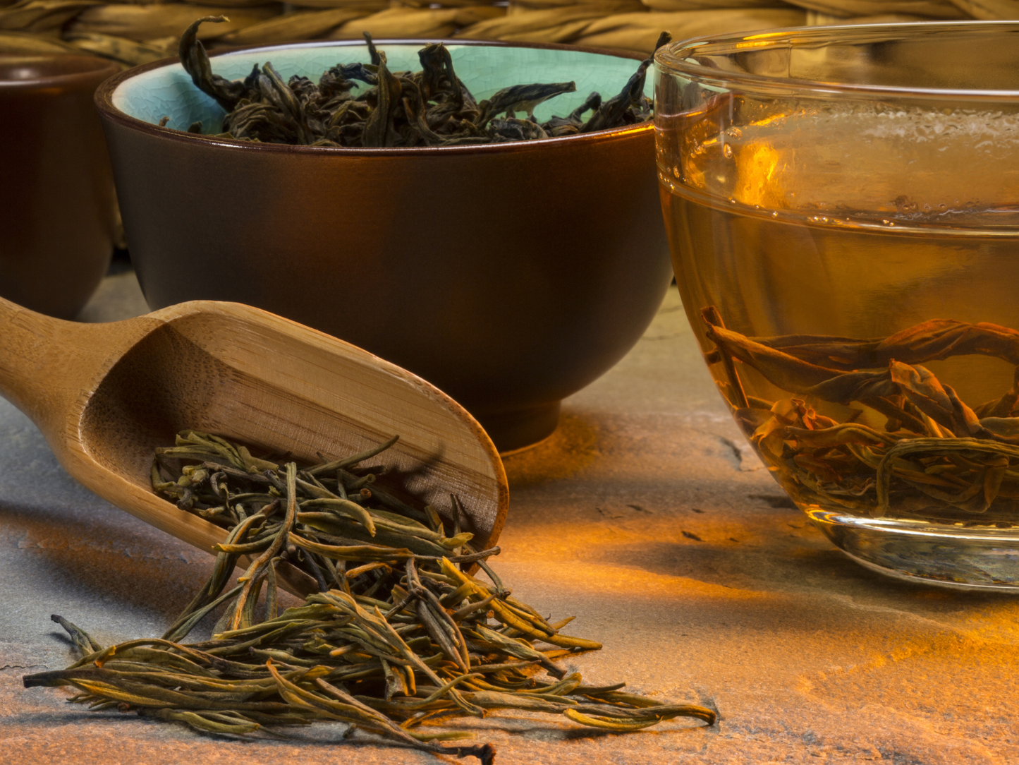 Tea Plant Seeds | (Camellia sinensis)
