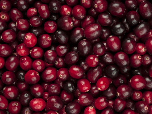 American Cranberry Seeds | Cranberry | (Vaccinium macrocarpon)