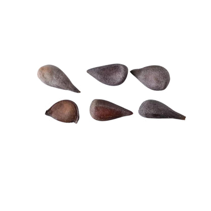 Chinese Quince Tree  Seeds (Chaenomeles sinensis)