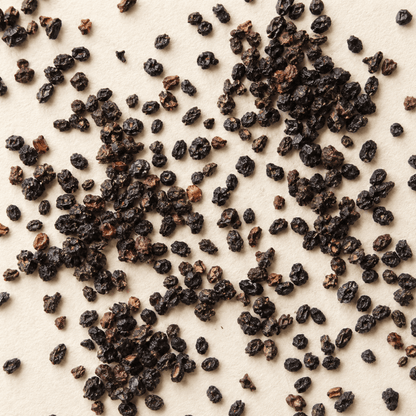 American Black Elderberry Tree Seeds | Common Elderberry | (Sambucus canadensis)