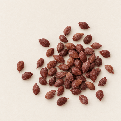 American Cranberry Seeds | Cranberry | (Vaccinium macrocarpon)