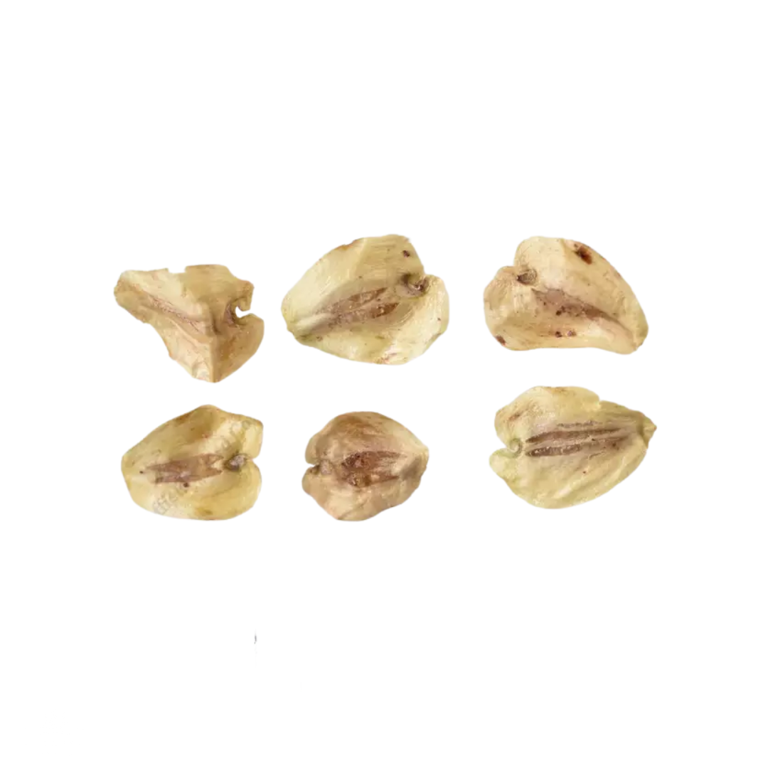 Dawn Redwood Tree Seeds-(Metasequoia glyptostroboides)