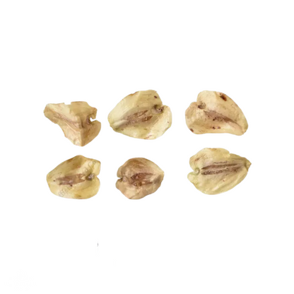 Dawn Redwood Tree Seeds-(Metasequoia glyptostroboides)